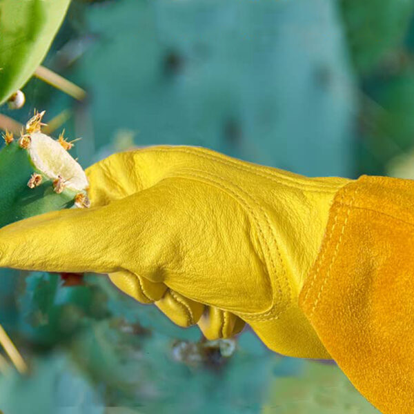 AOUCHI | Long Leather Gardening Gloves | Breathable Cowhide Rose Pruning Thorn Proof Gloves | Sheepskin Palms Cowhide Sleeves Garden Yard Safety Work Gloves
