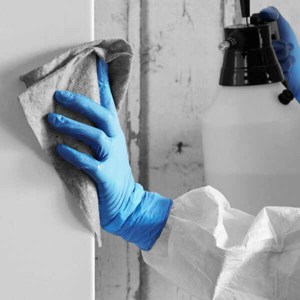 UNIGLOVES | UCN1203 Medium Nitrile Powder Free Gloves, 100 Count (Pack of 1)